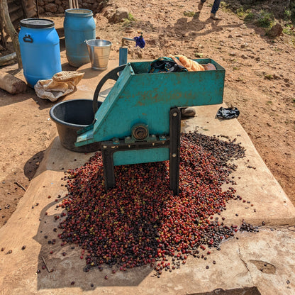 Kora Zinfandel - Roasted on 01/06