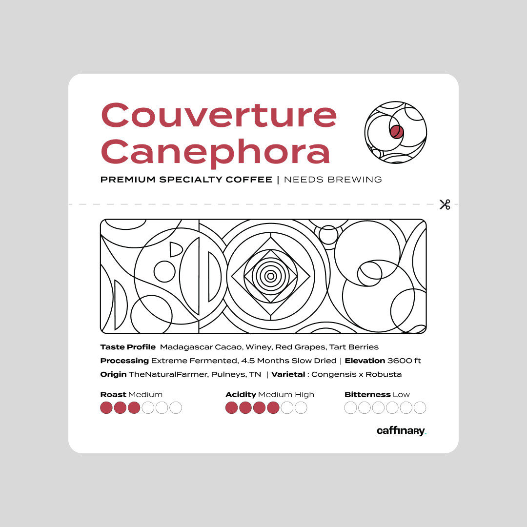 Couverture Canephora - Filter Roast - Pre-Order Now