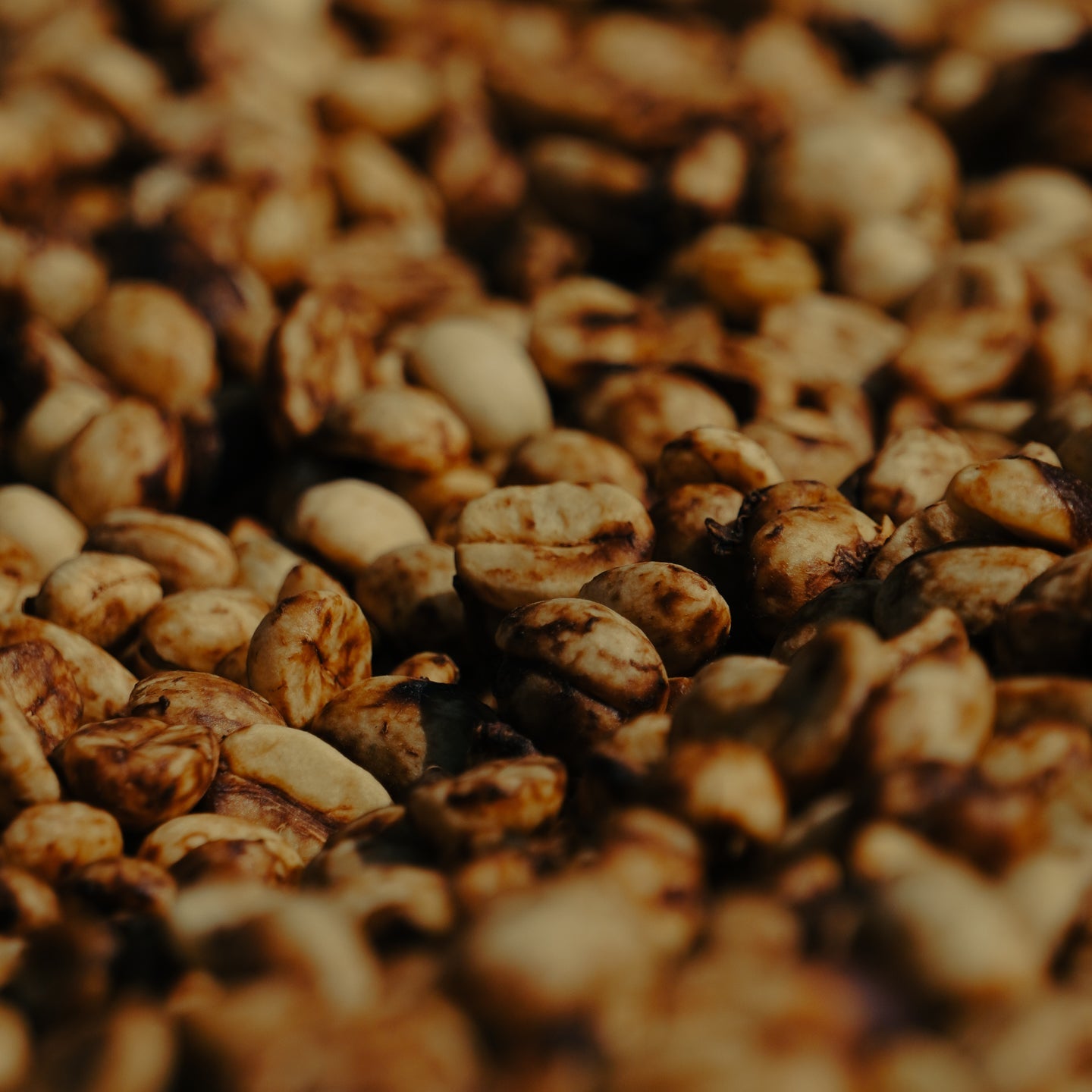 Close-up of roasted coffee beans