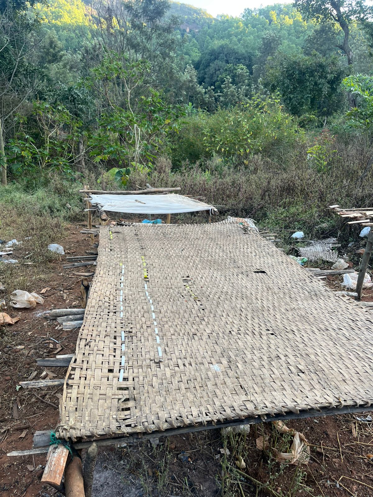 Maison Mahua- Roasted on 26/01