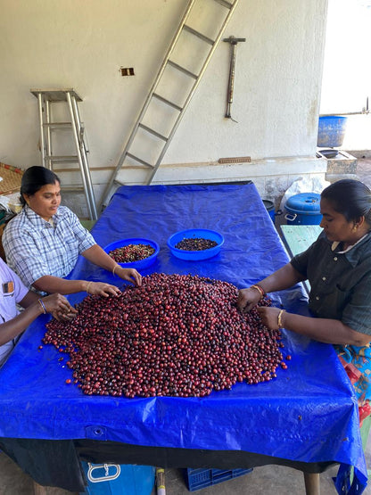 Riesling Esten - Roasted on 12/11